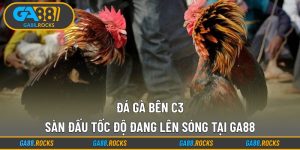 Đá Gà Bên C3