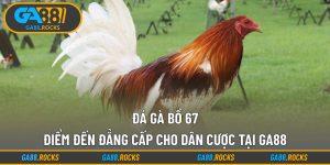 Đá Gà Bồ 67