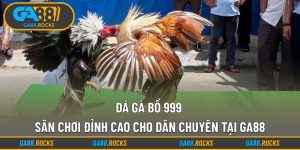 Đá Gà Bồ 999