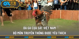 Đá Gà Cựa Sắt Việt Nam