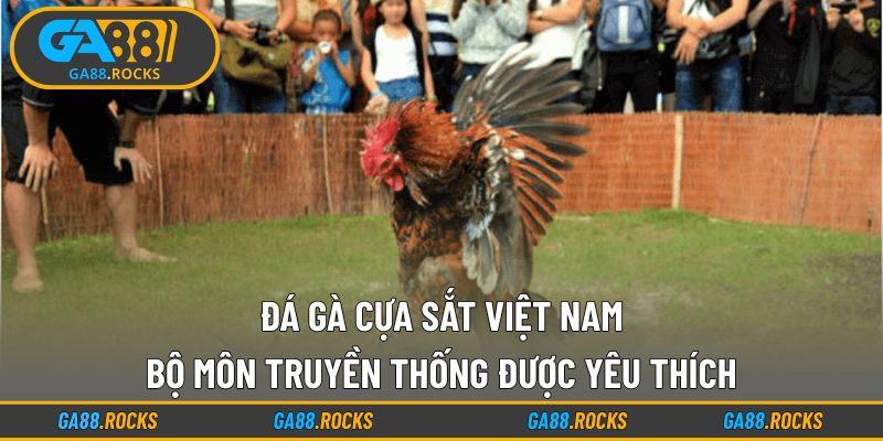 Đá Gà Cựa Sắt Việt Nam